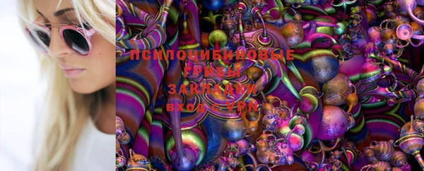 каннабис Алексеевка